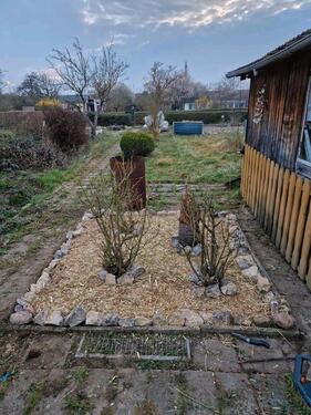 Foto - Grundst&uuml;ck zur Miete in Magdeburg