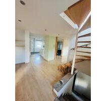 extravagante große Wohnung nähe Elbe und Altkötzschenbroda - Radebeul