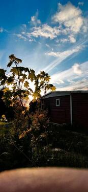 Foto - Pachtgarten abzugeben in 08541 - 1.500,00&nbsp;EUR Kaltmiete, ca.&nbsp; 0,00&nbsp;m&sup2;