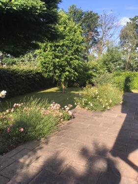 Foto - 5 Zimmer andere zur Miete in Burgdorf