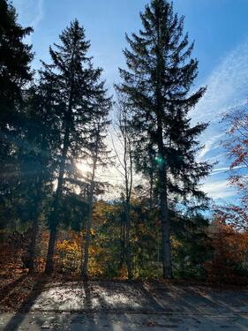 Foto - 1.5 Zimmer Eigentumswohnung Erstwohnsitz