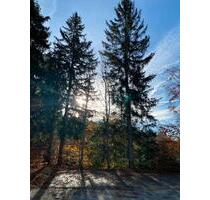 1.5 Zimmer Eigentumswohnung Erstwohnsitz - Neureichenau