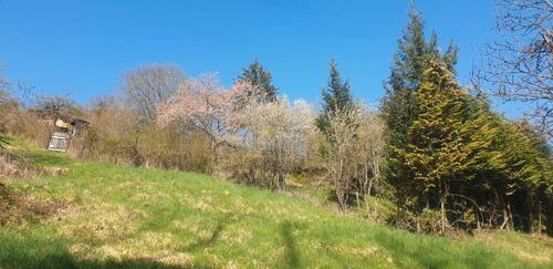 Foto - Gartengrundstück in 73630 Remshalden, Remstal, Nähe Stuttgart