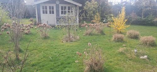 Foto - 6 Zimmer Einfamilienhaus zum Kaufen in Rhede