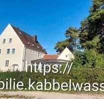 Raum zum Leben und Arbeiten. Großes Haus, großes Grundstück. - Pegnitz