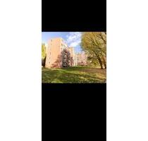 2 Zimmer-Wohnung mit Südbalkon im 2. Obergeschoss - Braunschweig Timmerlah-Geitelde-Stiddien