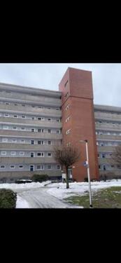 Foto - 2 Zimmer Etagenwohnung in Braunschweig