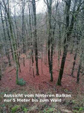 Foto - 3 Zimmer Etagenwohnung zur Miete in Wuppertal