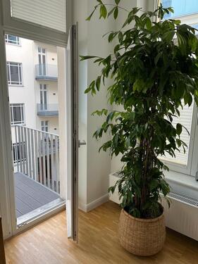 Foto - andere zur Miete in Berlin