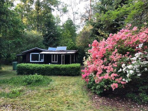 Foto - Wochenendhaus Waldhütte auf 5.000qm bei Rothenburg (Wümme)