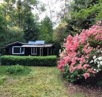 Wochenendhaus Waldhütte auf 5.000qm bei Rothenburg (Wümme) - Bothel