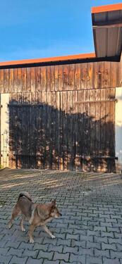 Foto - Stellplatz, Halle - 50,00 EUR Miete,