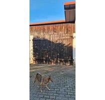 Stellplatz, Halle - 50,00 EUR Miete, in Rattelsdorf (PLZ: 96179)