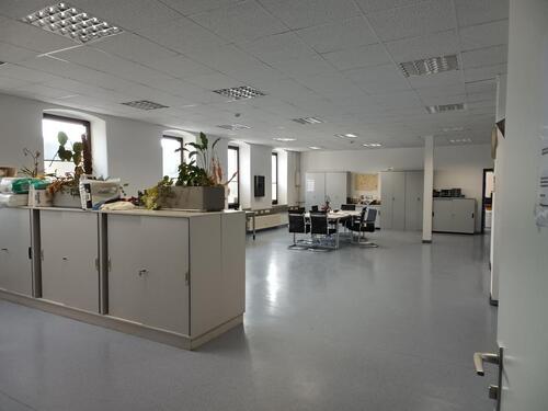 Foto - andere in Bad Münstereifel