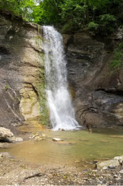 Foto - andere in Balingen zur Miete