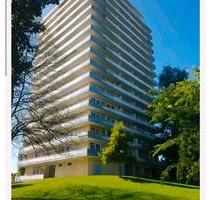 4,5-Zimmer-Wohnung in Lahr – 120 m² – zu vermieten - Lahr (Schwarzwald)