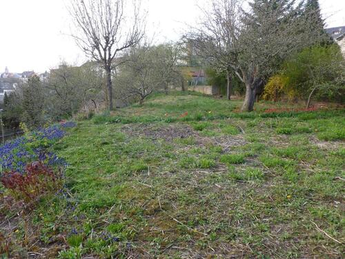 Foto - Große Pachtparzelle f. Spiel u. Freizeit, Erholung u. Garten