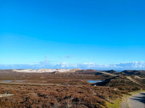 Foto - andere in Sylt