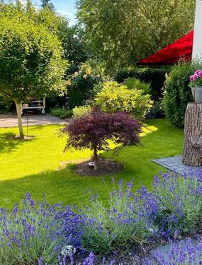 Foto - 4 Zimmer Einfamilienhaus zum Kaufen in Falkensee