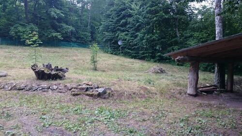 Foto - 