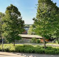 Helle 2-Zimmer Wohnung in Schleinähe - Schleswig