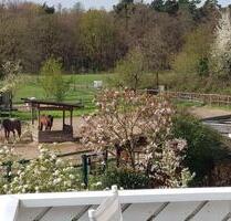 Barrierefreie 4-Zimmer-Wohnung mit Sonnenbalkon & Treppenlift - Dreieich