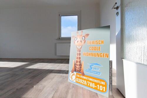 Foto - Wir sanieren für Sie! 2-Raum Wohnung mit Aufzug, Dusche und Balkon.