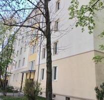 Striesen: Seniorenwohnung mit Wannenbad im Erdgeschoß - Dresden Blasewitz