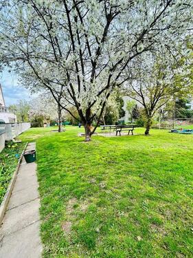 Foto - Großzügige 5-Zimmer-Wohnung mit Balkon und Garten in Eschwege
