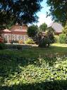 Foto - Mehrfamilienhaus, Wohnhaus in Wittingen zum Kaufen