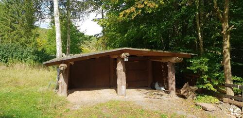 Foto - 5 Zimmer Einfamilienhaus in Heringen/Helme