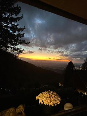 Foto - Souterrainwohnung in SasbachwaldenBrandmatt zu vermieten