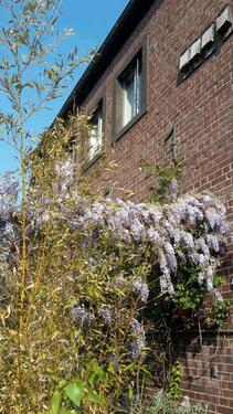 Foto - Historisches Anwesen mit Loftwohnungen in Tarnbunker!