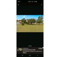 HausZweifamilienhaus - 485.000,00&nbsp;EUR Kaufpreis, ca.&nbsp; 240,00&nbsp;m&sup2; in Bamberg (PLZ: 96050) Gereuth