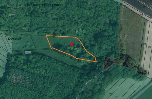 Foto - ***Landwirtschaftsfläche mit Wald in JützenbachDörstal Thüringen***PROVISIONSFREI