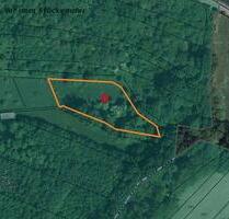 ***Landwirtschaftsfläche mit Wald in JützenbachDörstal Thüringen***PROVISIONSFREI - Sonnenstein