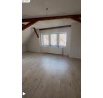 1 großes Zimmer für 2 Personen in einer WG Lahr Zentrum - Lahr (Schwarzwald)