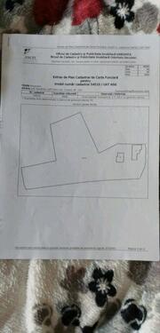 Foto - 4 Zimmer Einfamilienhaus in Wismar