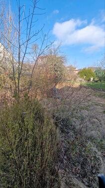 Foto - Hofgeismar Kernstadt Baugrundstück mit Einfamilienhaus