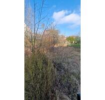 Hofgeismar Kernstadt Baugrundstück mit Einfamilienhaus