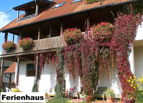 Foto - Idyllischer Reiterhof mit vielseitigem Nutzungskonzept