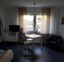 Voll möbliertes 1 Zimmer Apartment in 74239 Hardthausen-Gochsen - Langenbrettach