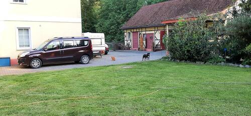 Foto - Einfamilienhaus in Raguhn-Jeßnitz zum Kaufen