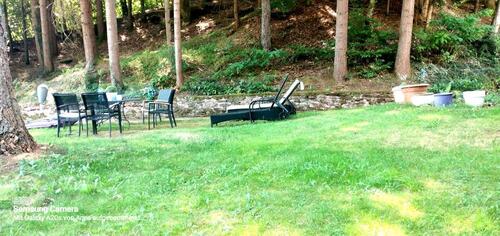 Foto - ❤ Dahn ❤ 1 Zimmer Appartment möbliert TV Wlan 250 + Nk