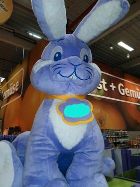 Foto - 3 Zi. Wohnung in 97228 Rottendorf zu vermieten!