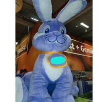 3 Zi. Wohnung in 97228 Rottendorf zu vermieten! - Würzburg Lengfeld