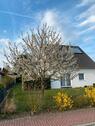 Foto - Einfamilienhaus zum Kaufen in Wolfsburg