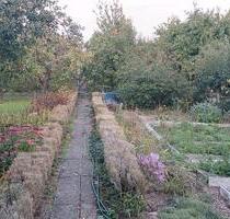 Pachtgarten - 1.800,00&nbsp;EUR Kaltmiete, ca.&nbsp; 0,00&nbsp;m&sup2; in Mühlhausen (Thüringen) (PLZ: 99974)