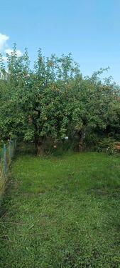 Foto - Grundst&uuml;ck in Mühlhausen (Thüringen)