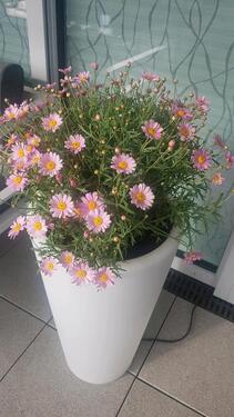 Foto - Tiefgaragenstellplatz in Moers Scherpenberg